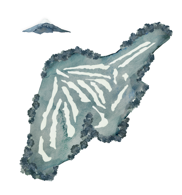fuji course