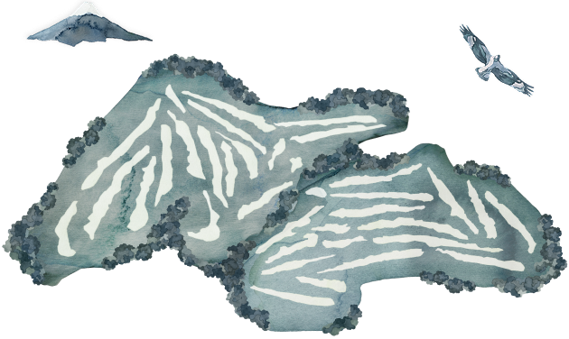 golf course illustration