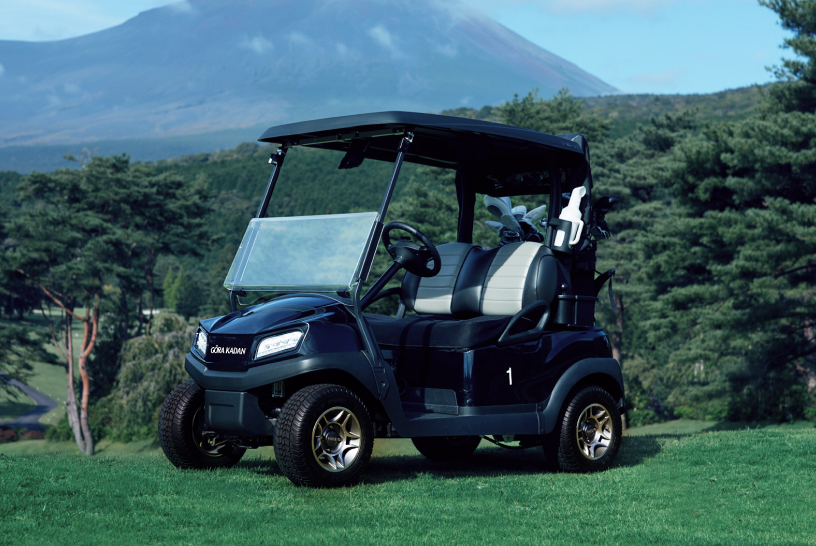Dedicated Cart Drive-On Access