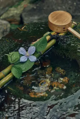手水