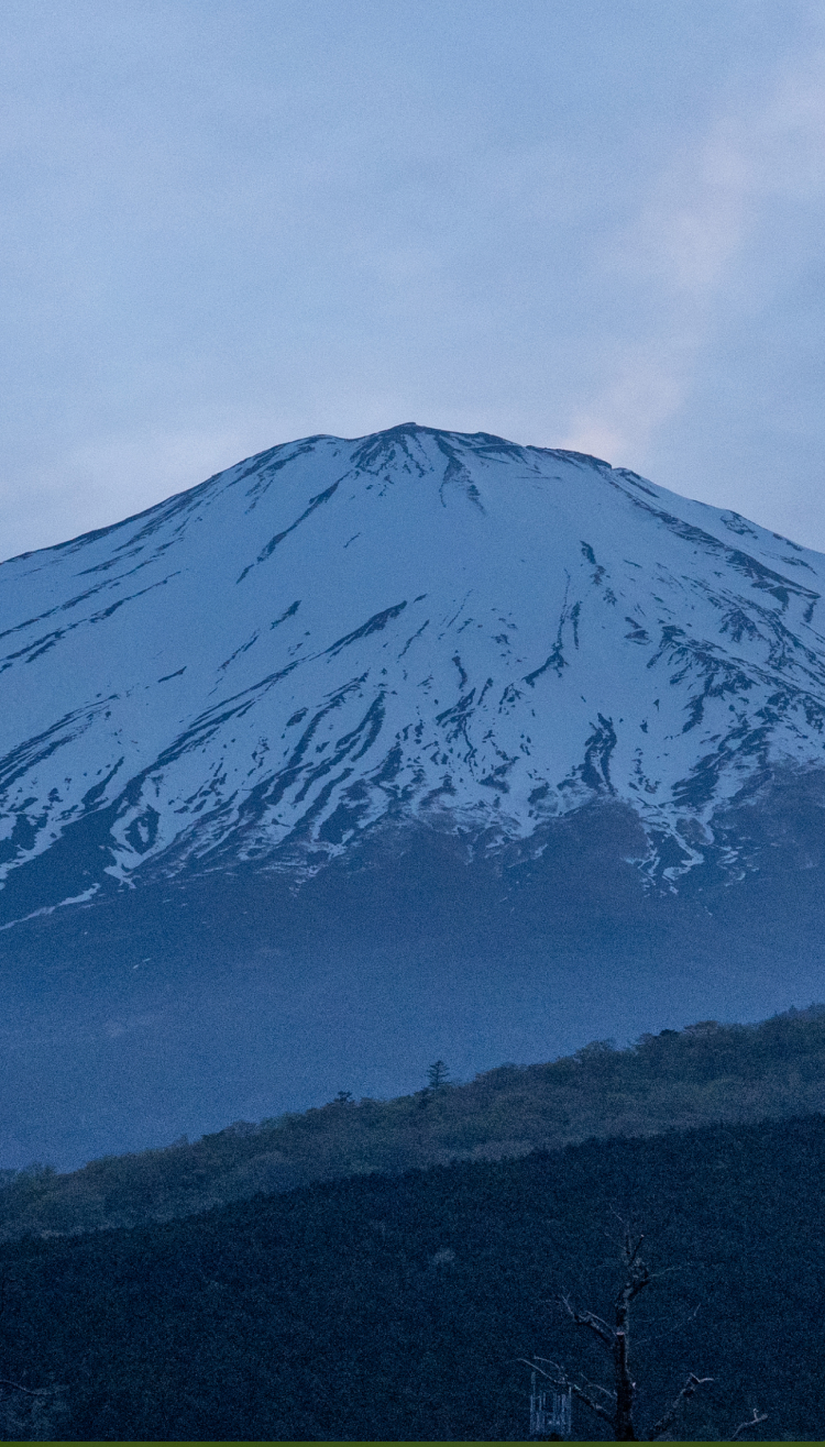 GORA KADAN FUJI